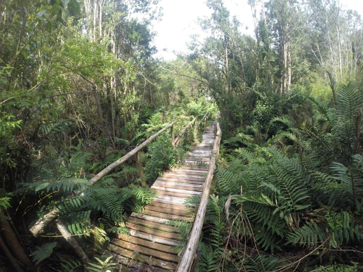 דירות קסטרו Turismo Del Bosque מראה חיצוני תמונה